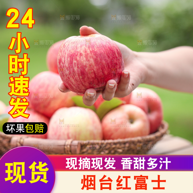 手里拿着山东烟台红富士