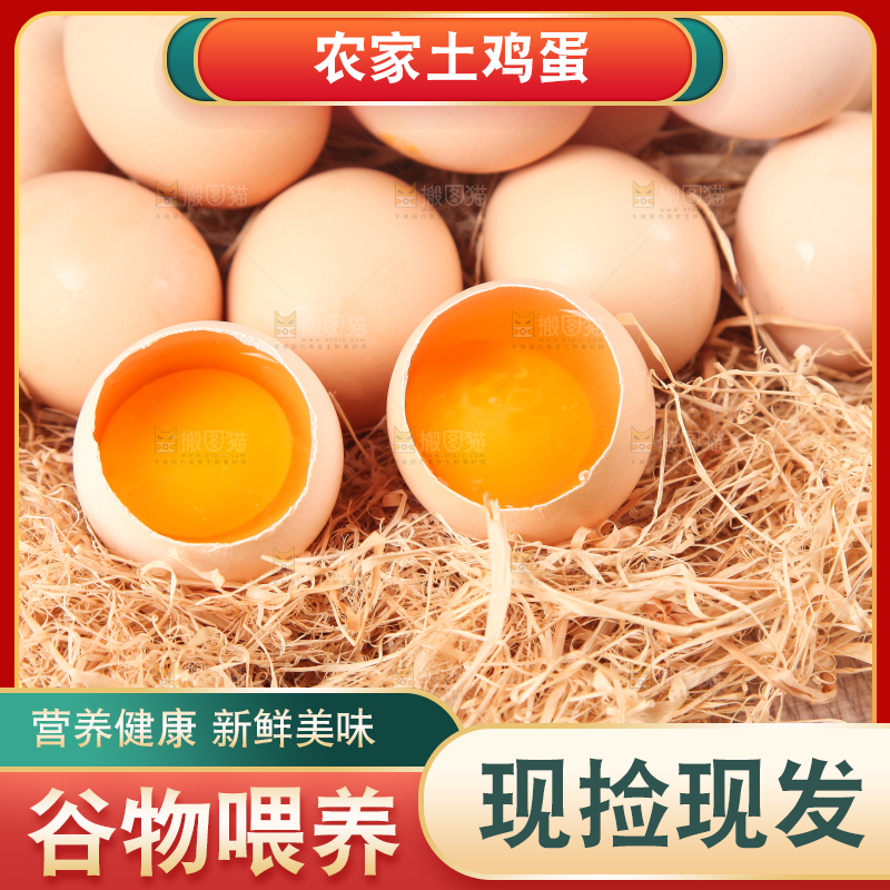 草堆上摆放着散养土鸡蛋