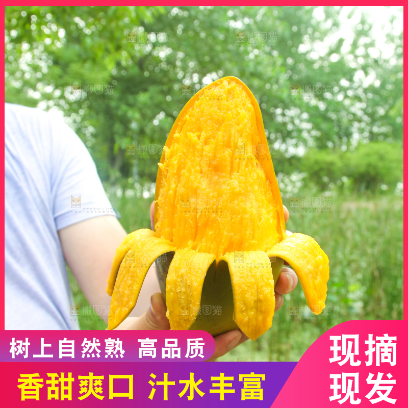 手里拿着大青芒