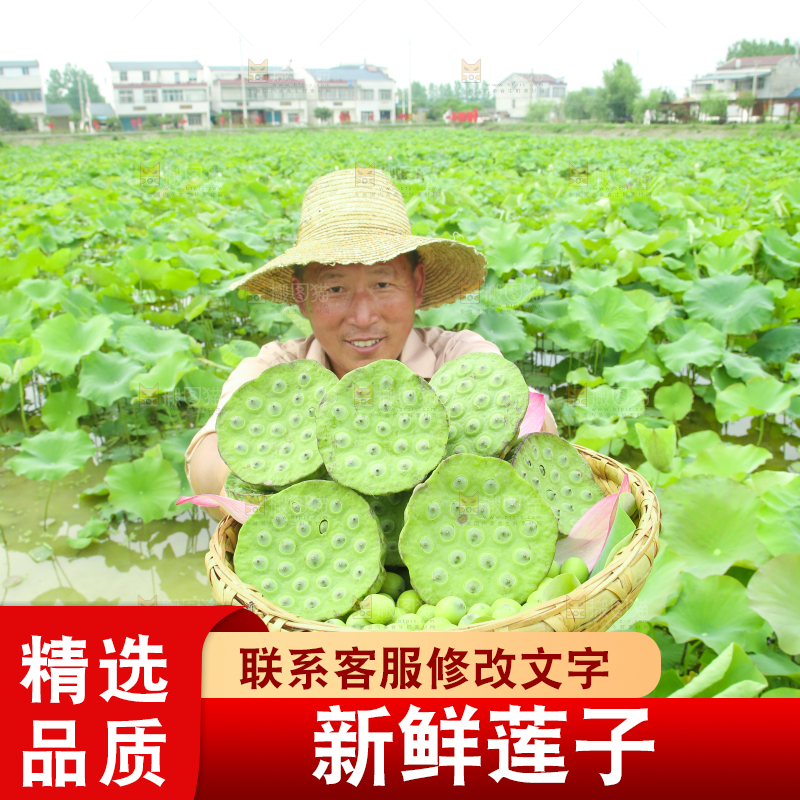 手里端着一篮新鲜莲蓬