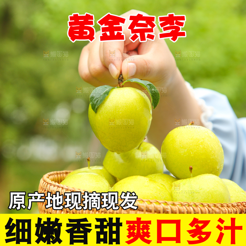 手里拿着一篮黄金奈李
