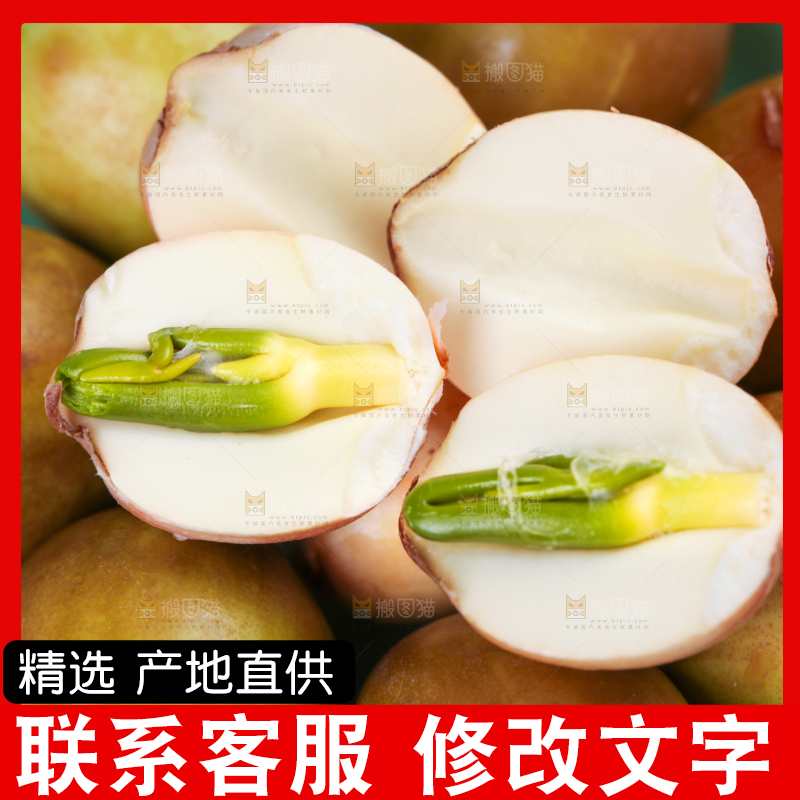 碟子里装着莲子米