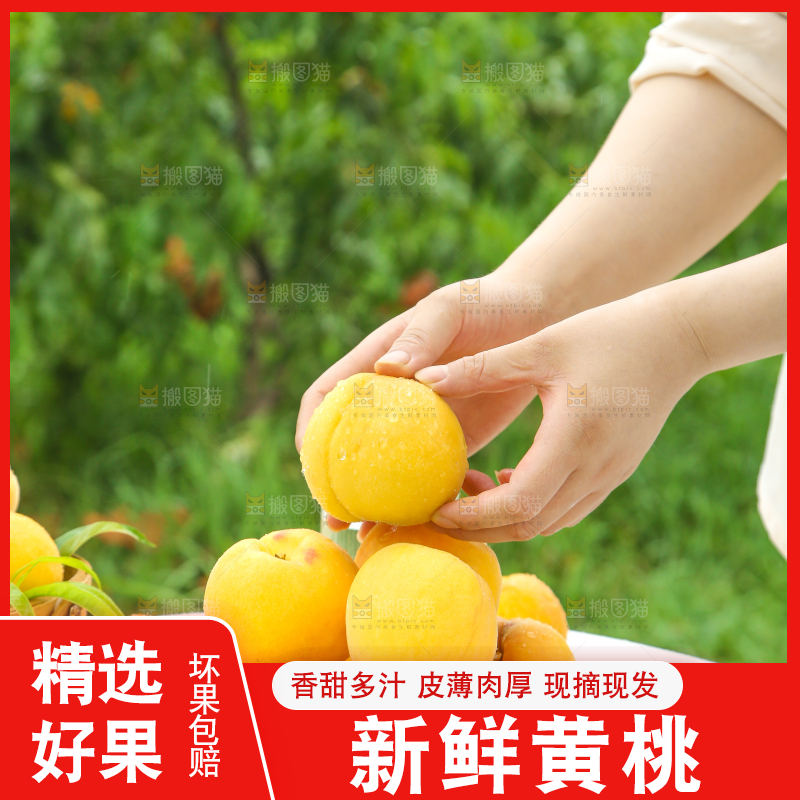 篮子里装着黄肉桃