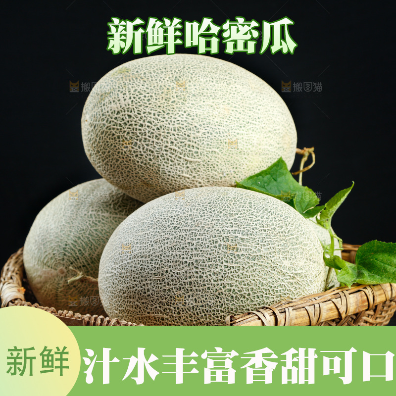 篮子里装着网纹瓜
