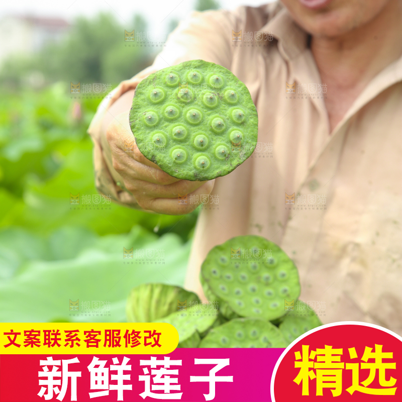 手里端着莲蓬子