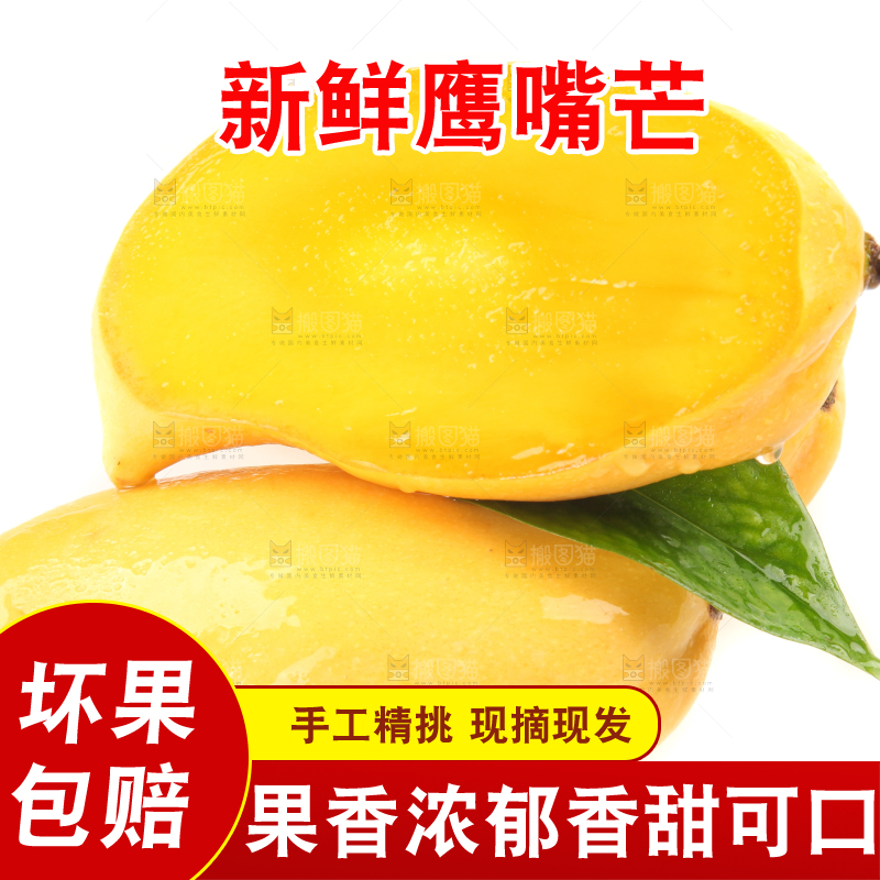 白底上放着象牙芒