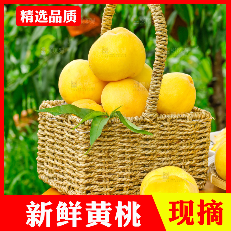 篮子里装着新鲜黄桃