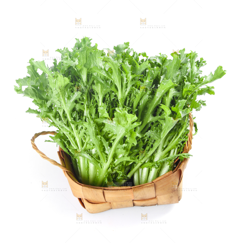 篮子里装着苦菊