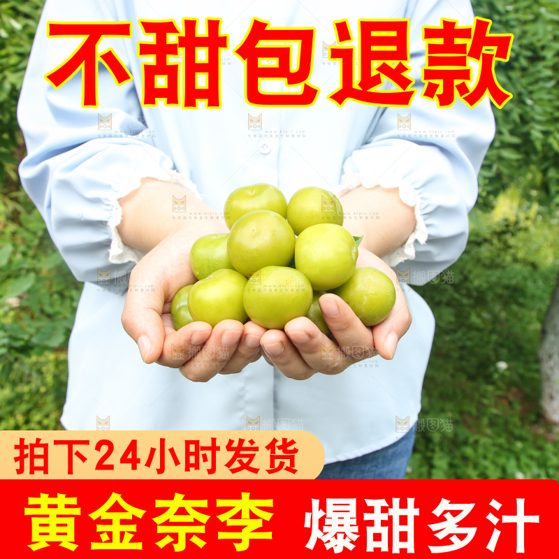 手里捧着黄金奈李