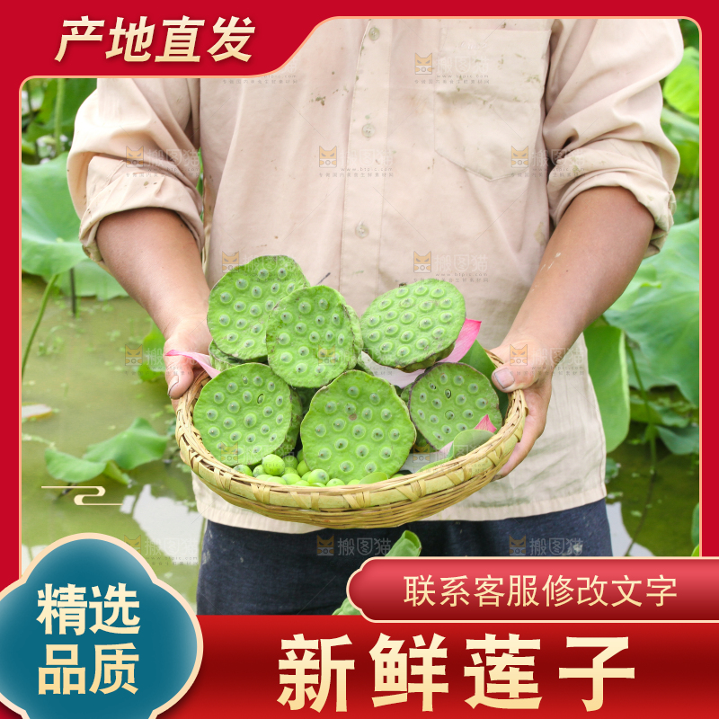 手里端着一篮新鲜莲蓬子
