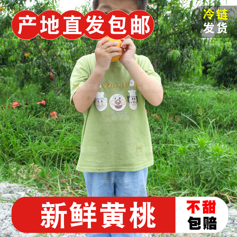 小男孩正在吃黄桃