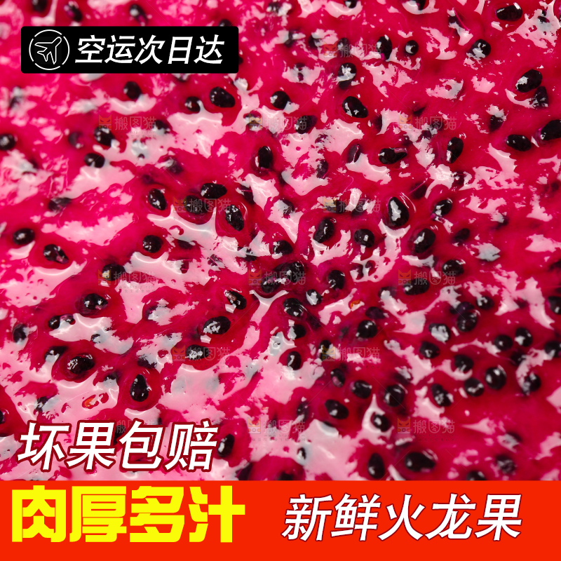 浅底上的红心火龙果