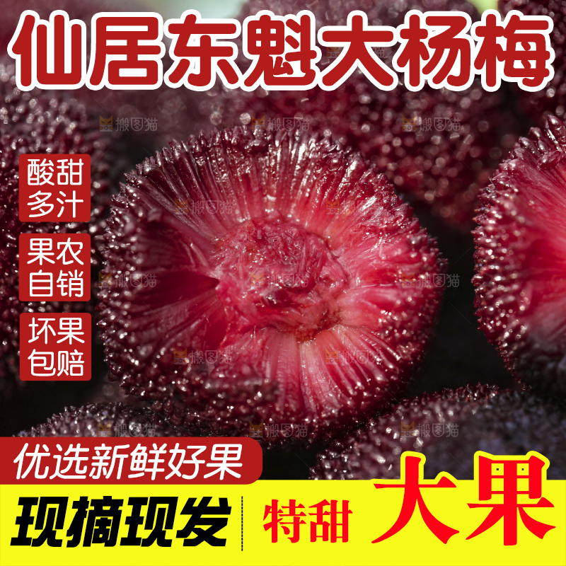 摆放着一堆的杨梅