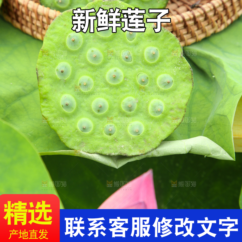 篮子里装着莲蓬