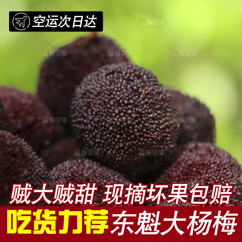 摆放着一堆的杨梅