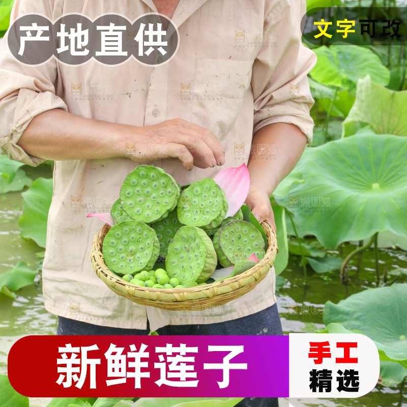 手里端着一篮新鲜莲蓬子