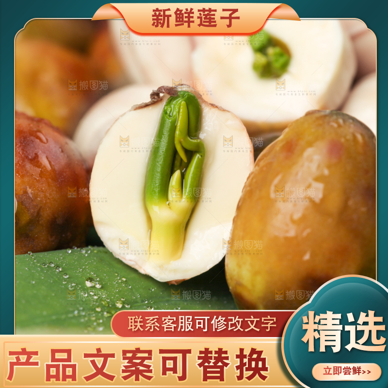 荷叶上摆放着莲蓬子