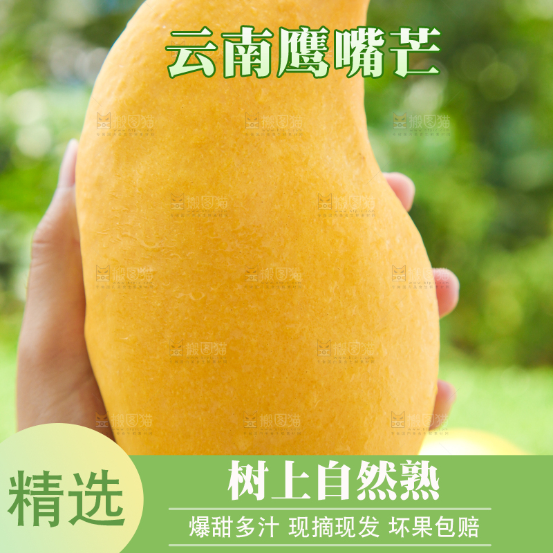 手里拿着芒果