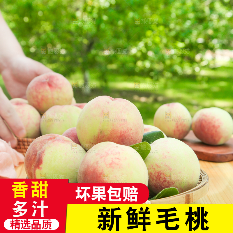 篮子里装着毛桃