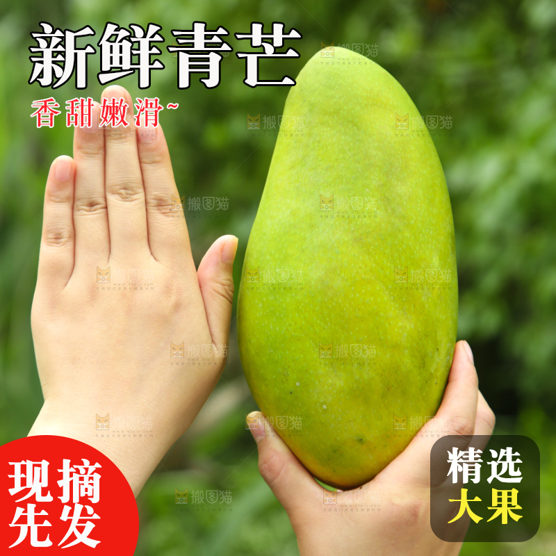 手里拿着大青芒