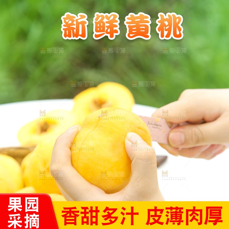 手里拿着正在切的黄桃