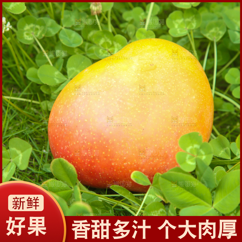 草地上放着一颗爱文芒