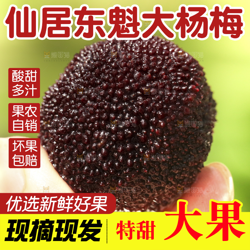 手里拿着圣生梅