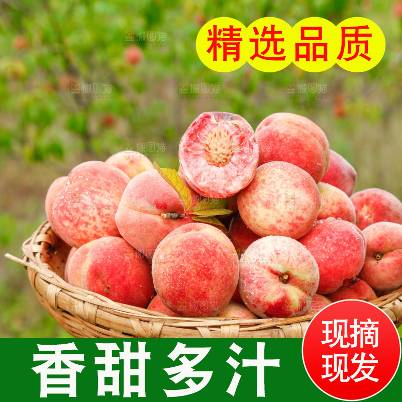 篮子里装着红心胭脂红