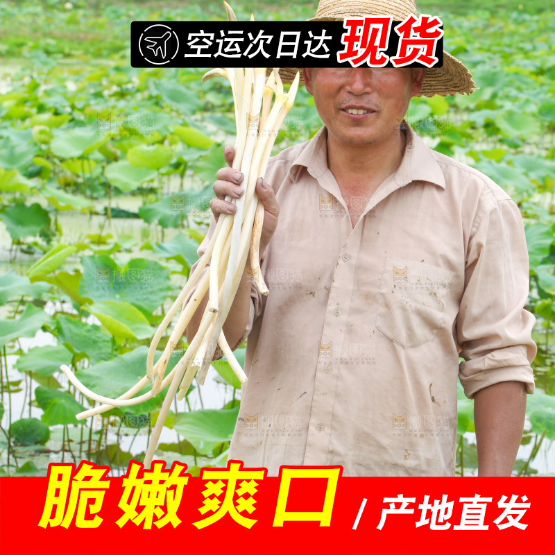 手里拿着藕尖