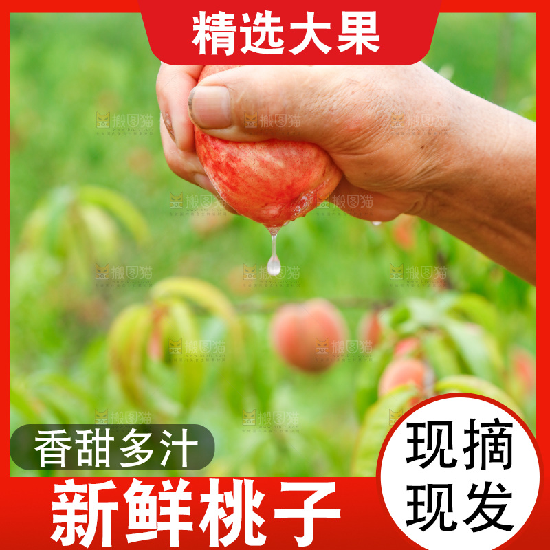 手里拿着新鲜胭脂红