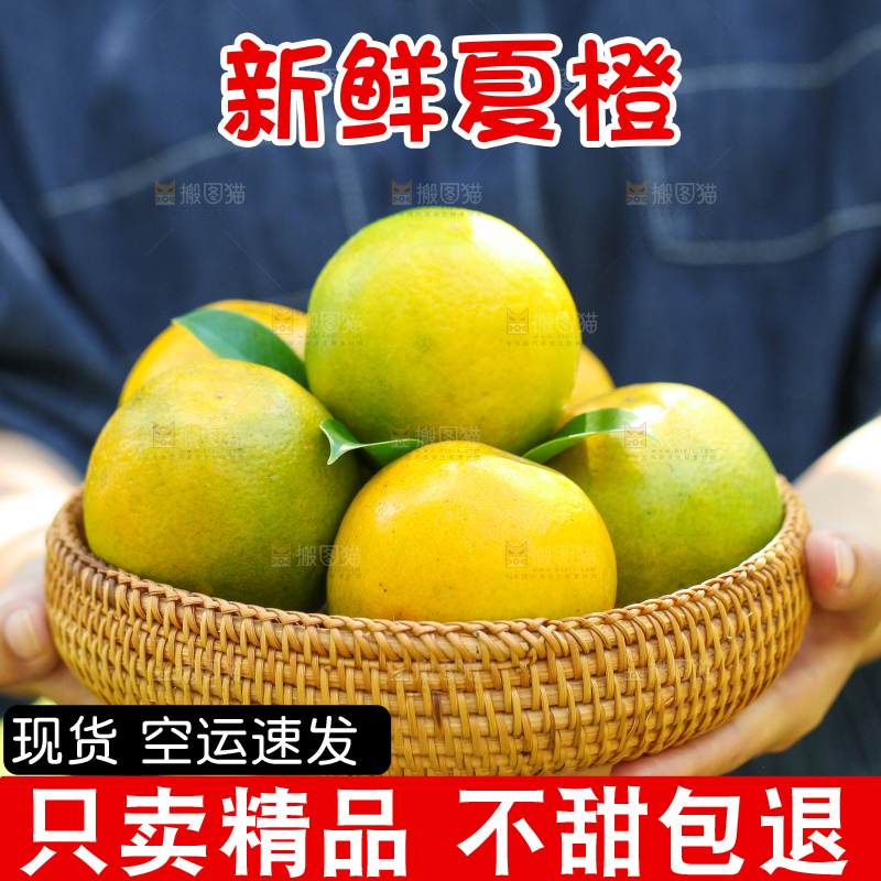 手里拿着一篮新鲜夏橙