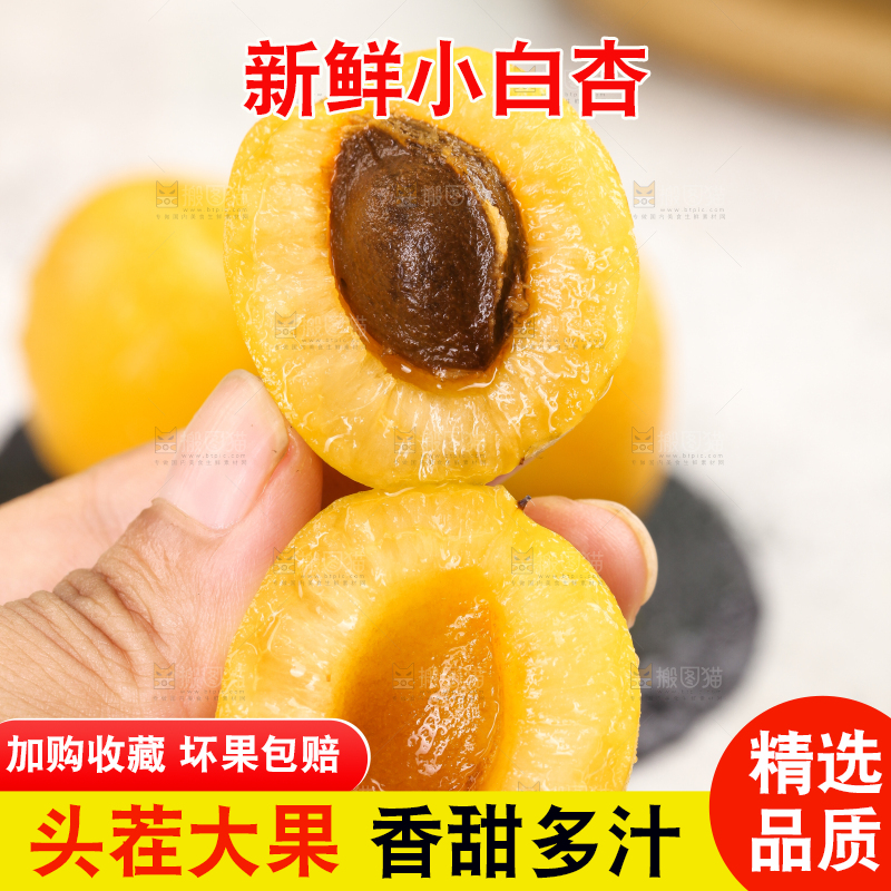 手里拿着新疆小白杏