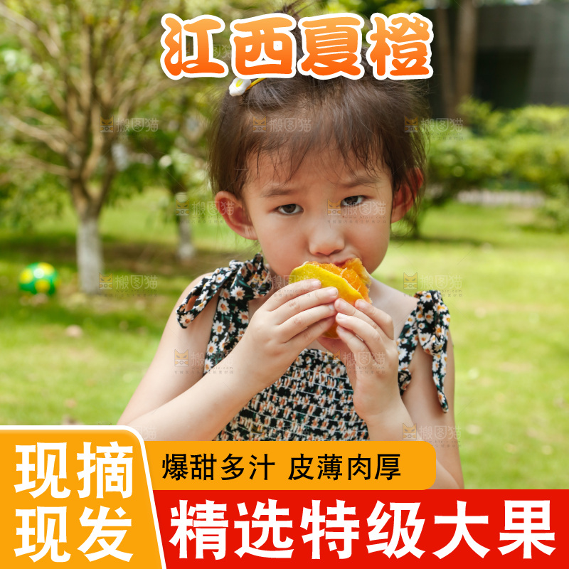 小女孩正在吃橙子