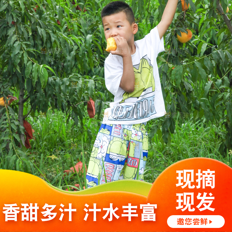 小男孩正在吃黄桃