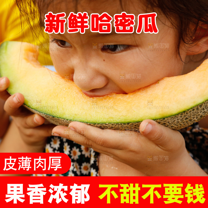 小女孩正在吃哈密瓜