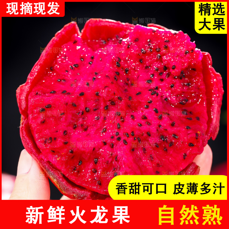 手里拿着火龙果