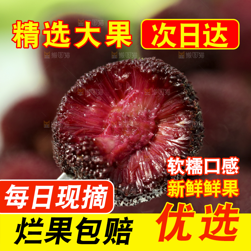 叉子叉着新鲜杨梅