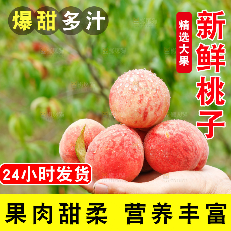 手里拿着新鲜胭脂红