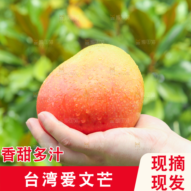 手里拿着苹果芒