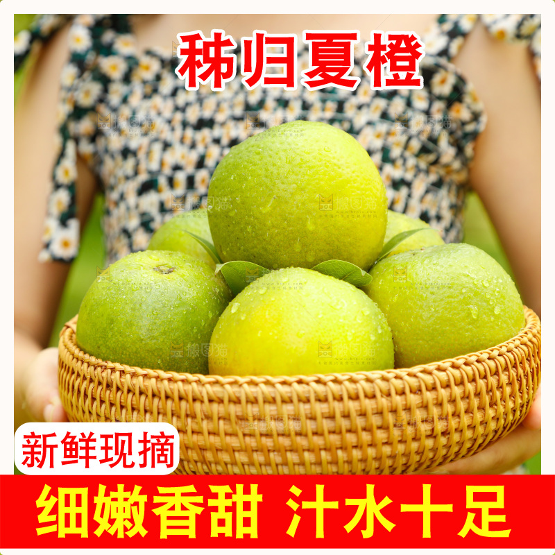 手里拿着一篮秭归夏橙