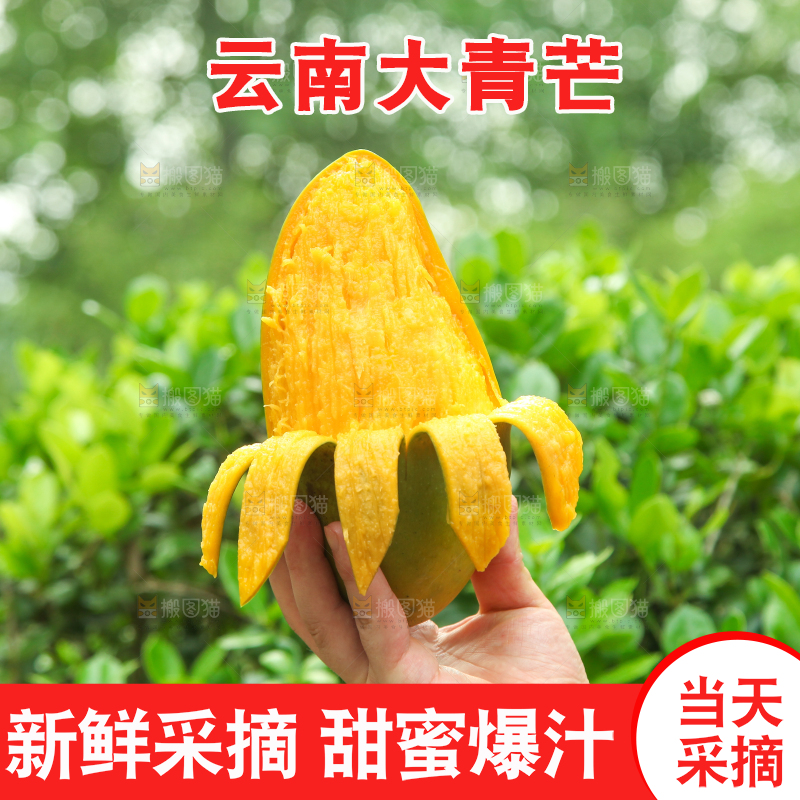 手里拿着正在剥皮的大青芒