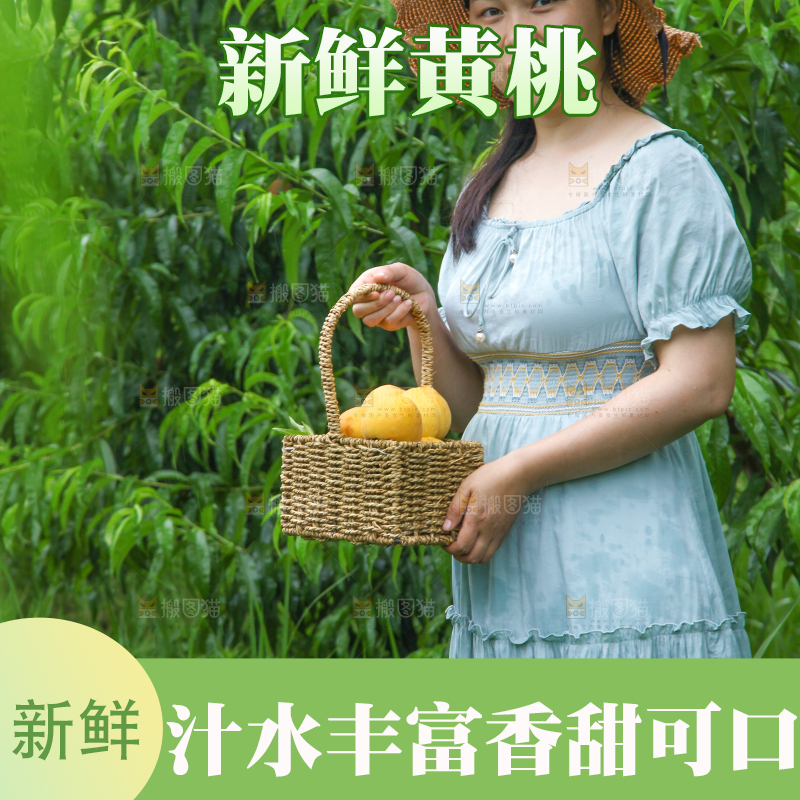 女孩手里提着一篮采摘的黄桃