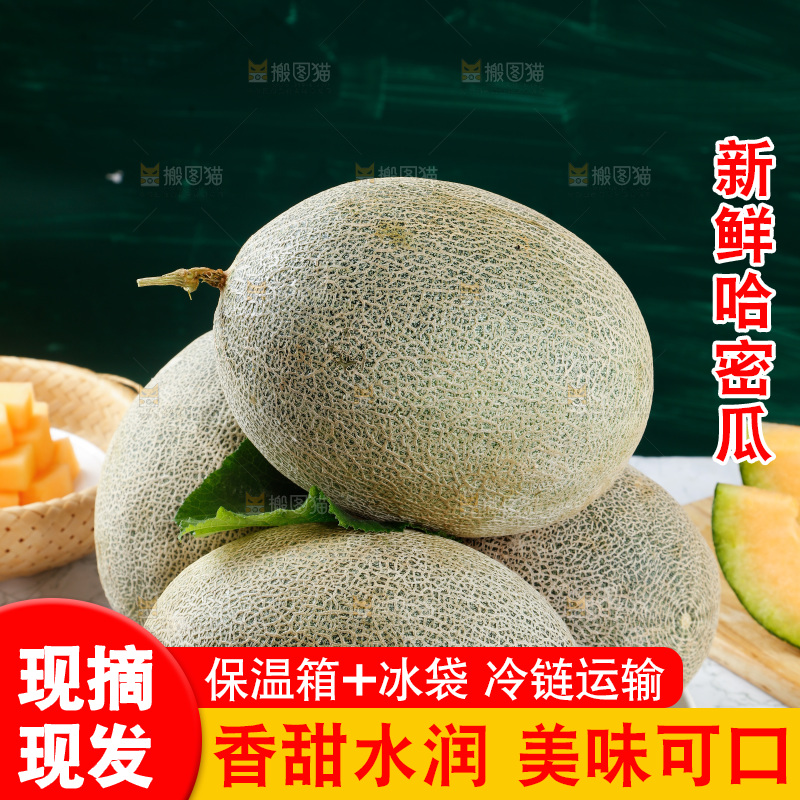 盘子里装着网纹瓜