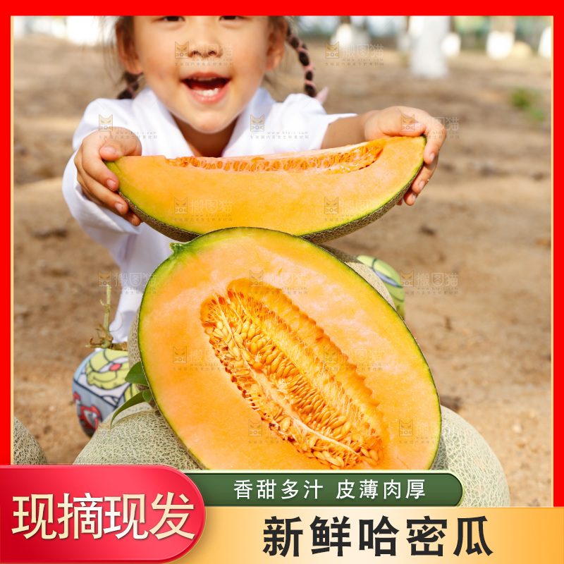小女孩手里拿着哈密瓜
