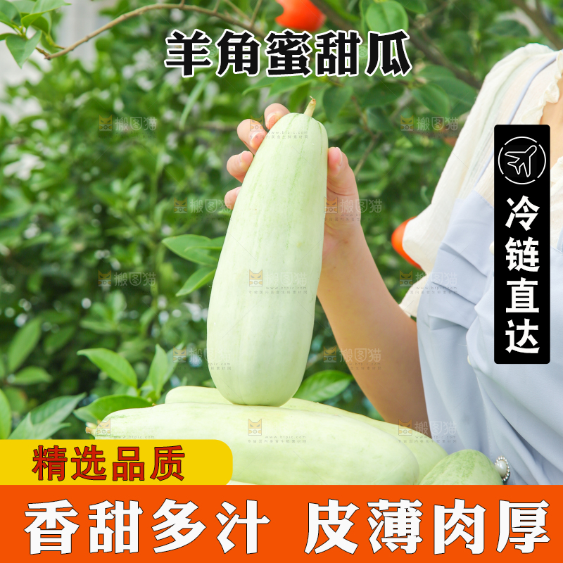手里端着一篮山东羊角蜜甜瓜