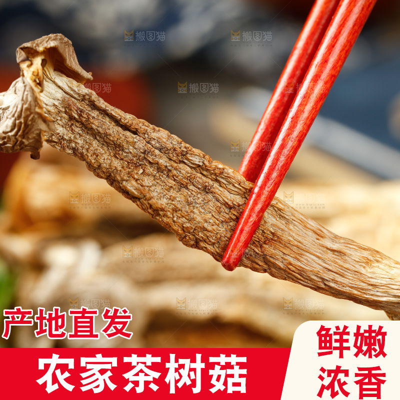 筷子夹着茶树菇
