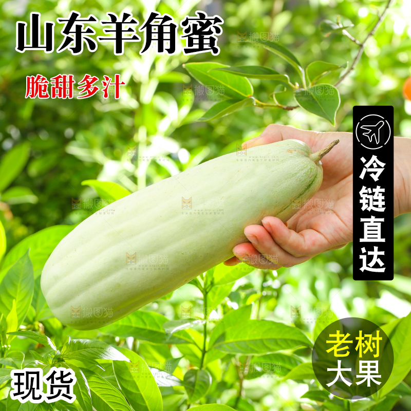 手里拿着羊角蜜