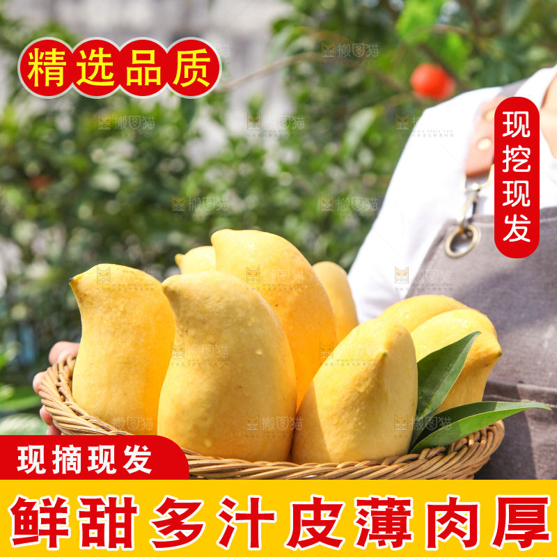 手里端着一篮鹰嘴芒果