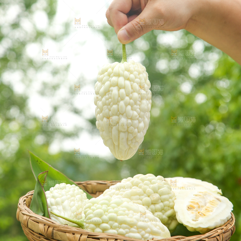 手里拿着一篮苹果苦瓜