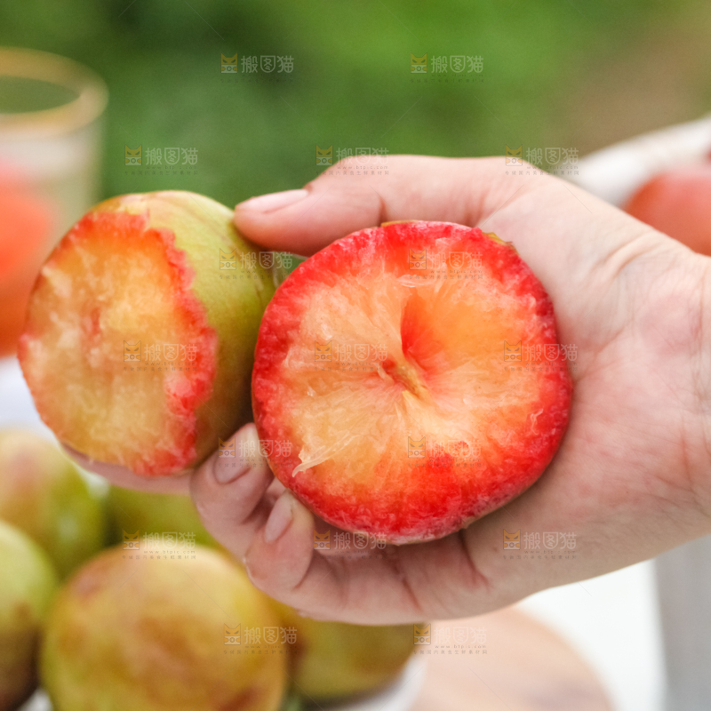 手里拿着新鲜青皮红心李